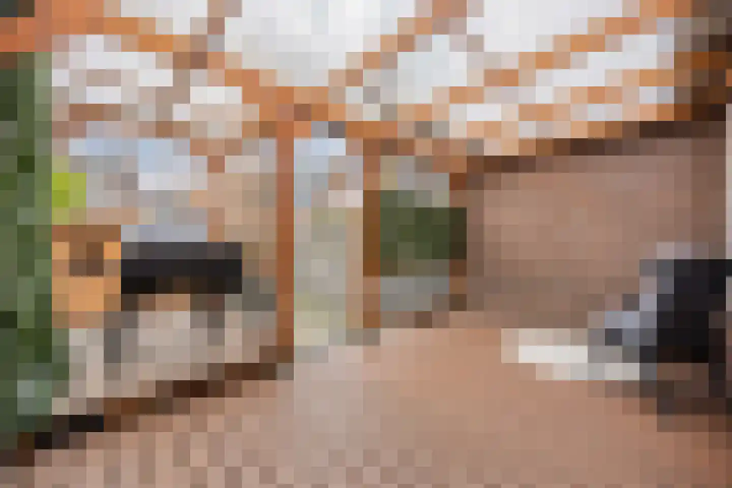 Starrebosstraat 4 Velsen-Noord thumbnail 31