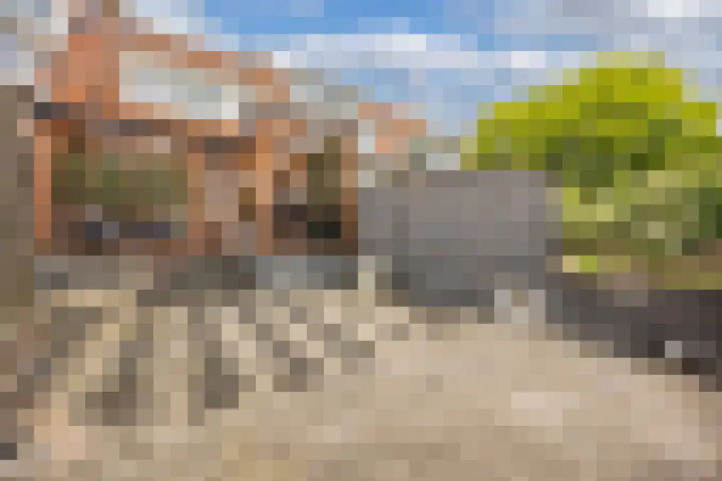 Starrebosstraat 4 Velsen-Noord thumbnail 36