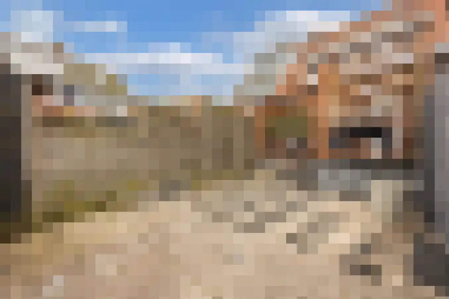 Starrebosstraat 4 Velsen-Noord thumbnail 38