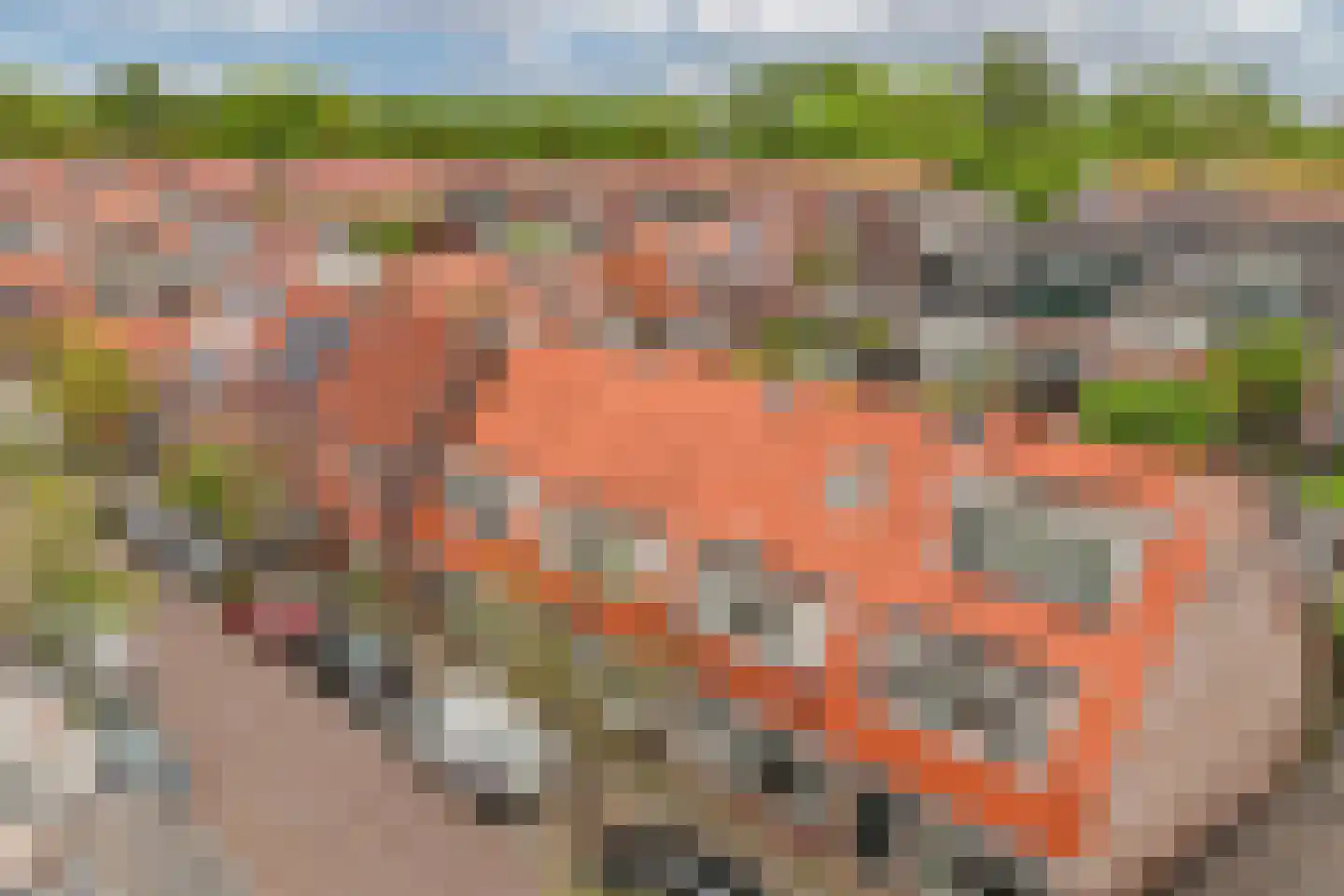 Starrebosstraat 4 Velsen-Noord thumbnail 4
