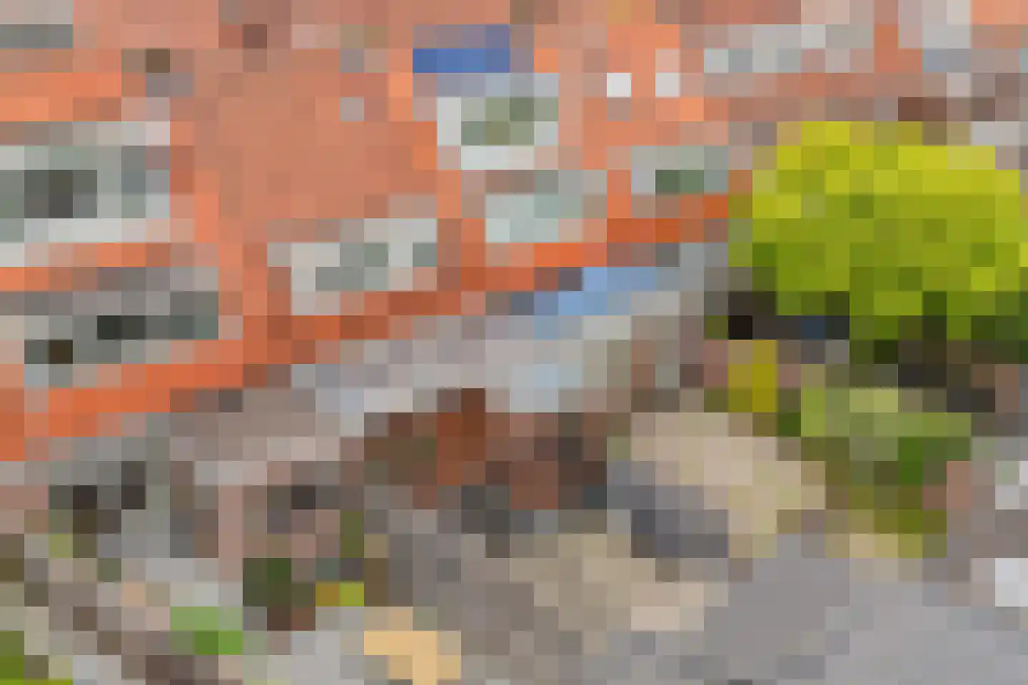 Starrebosstraat 4 Velsen-Noord thumbnail 41