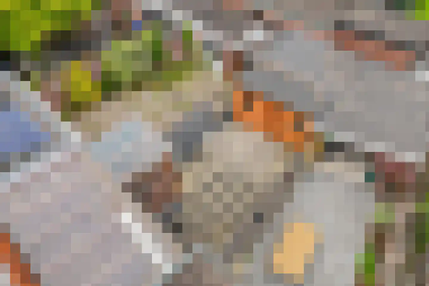 Starrebosstraat 4 Velsen-Noord thumbnail 42