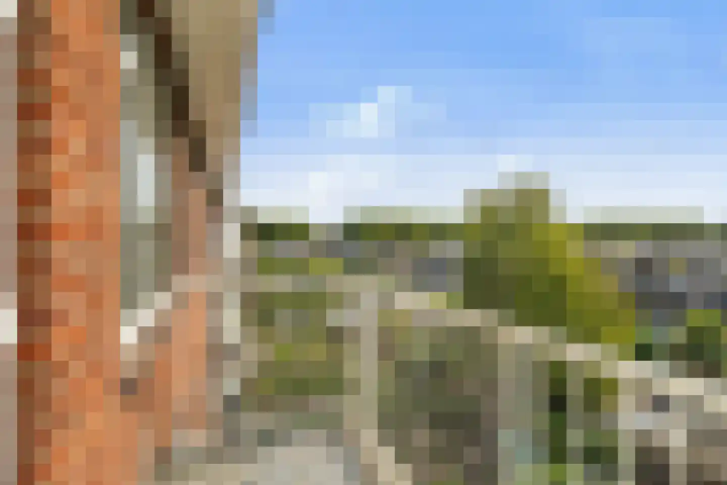 Starrenburglaan 10 Wassenaar thumbnail 32