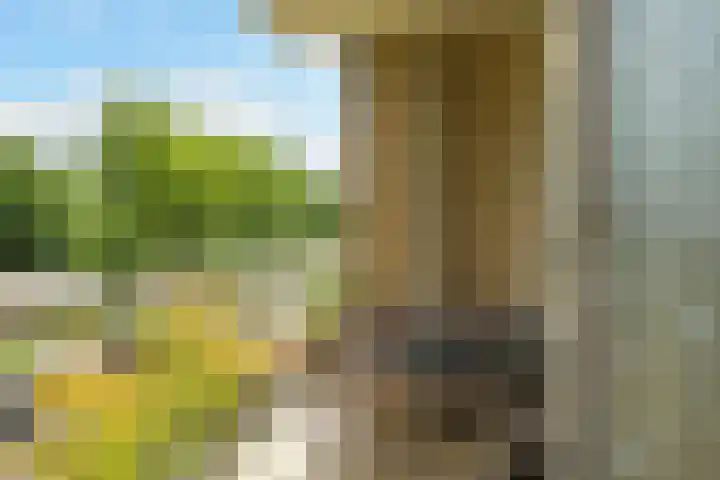 Starrenburglaan 119 Wassenaar thumbnail 12