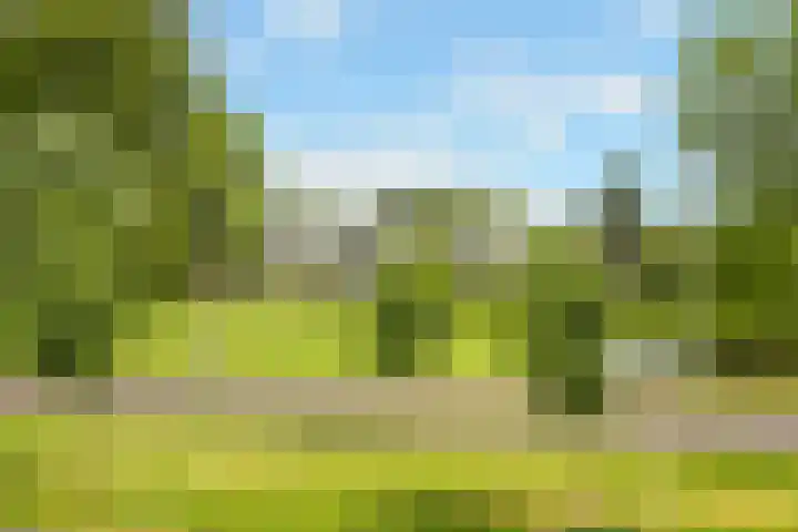 Starrenburglaan 119 Wassenaar thumbnail 14