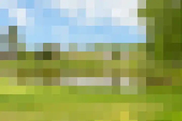 Starrenburglaan 119 Wassenaar thumbnail 26