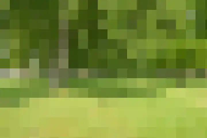 Starrenburglaan 119 Wassenaar thumbnail 27