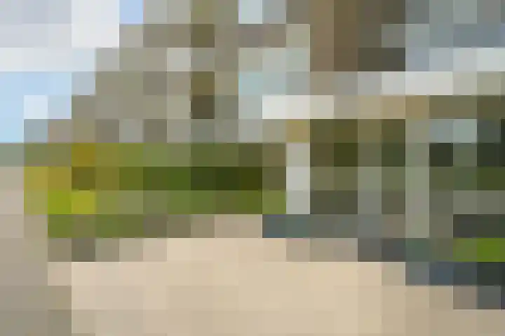 Starrenburglaan 119 Wassenaar thumbnail 4