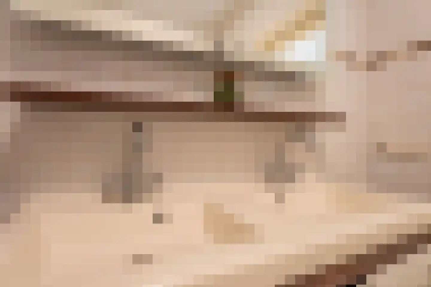 Starrenburglaan 120 Wassenaar thumbnail 22