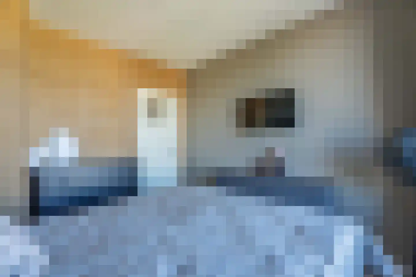 Starrenburglaan 120 Wassenaar thumbnail 5