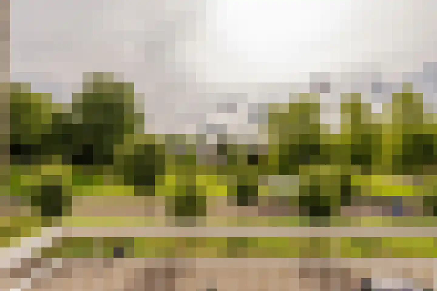 Starrenburglaan 151 Wassenaar thumbnail 17