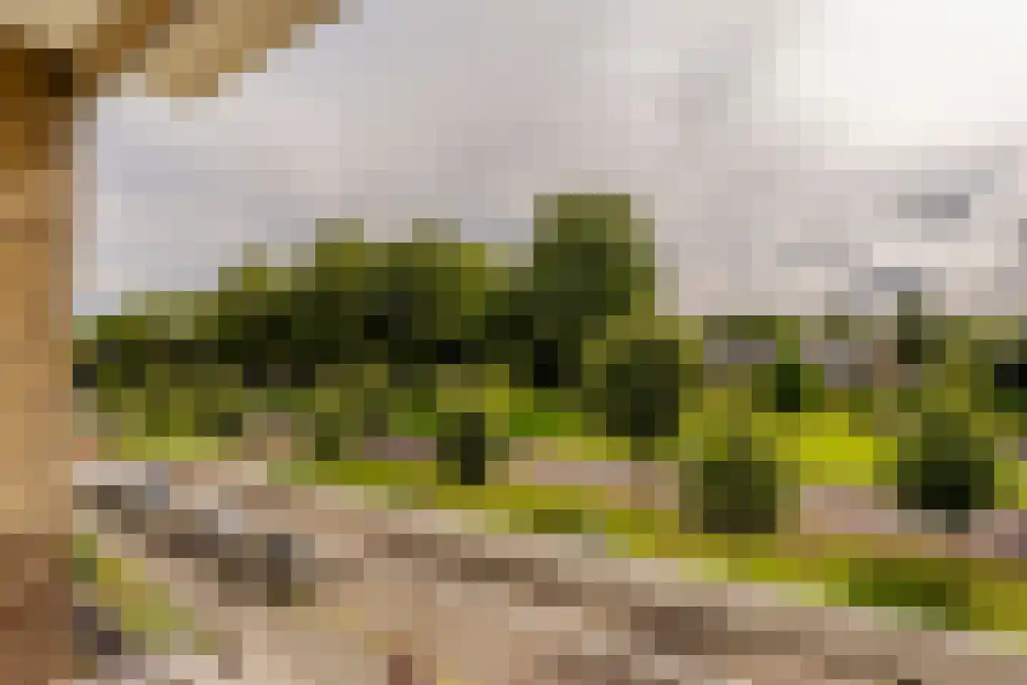 Starrenburglaan 151 Wassenaar thumbnail 18