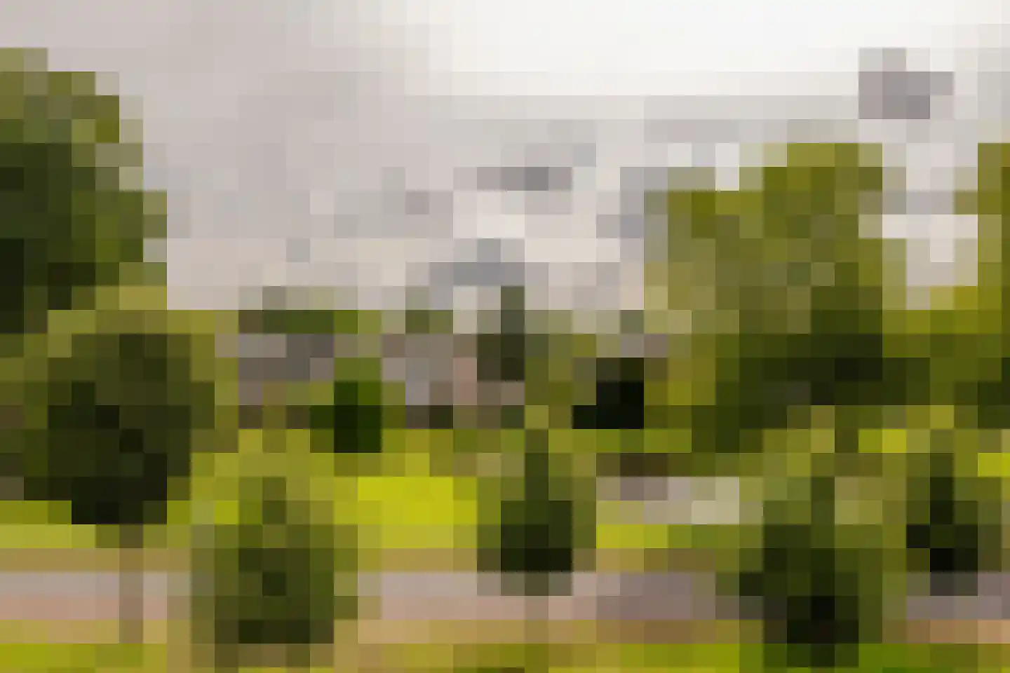 Starrenburglaan 151 Wassenaar thumbnail 31
