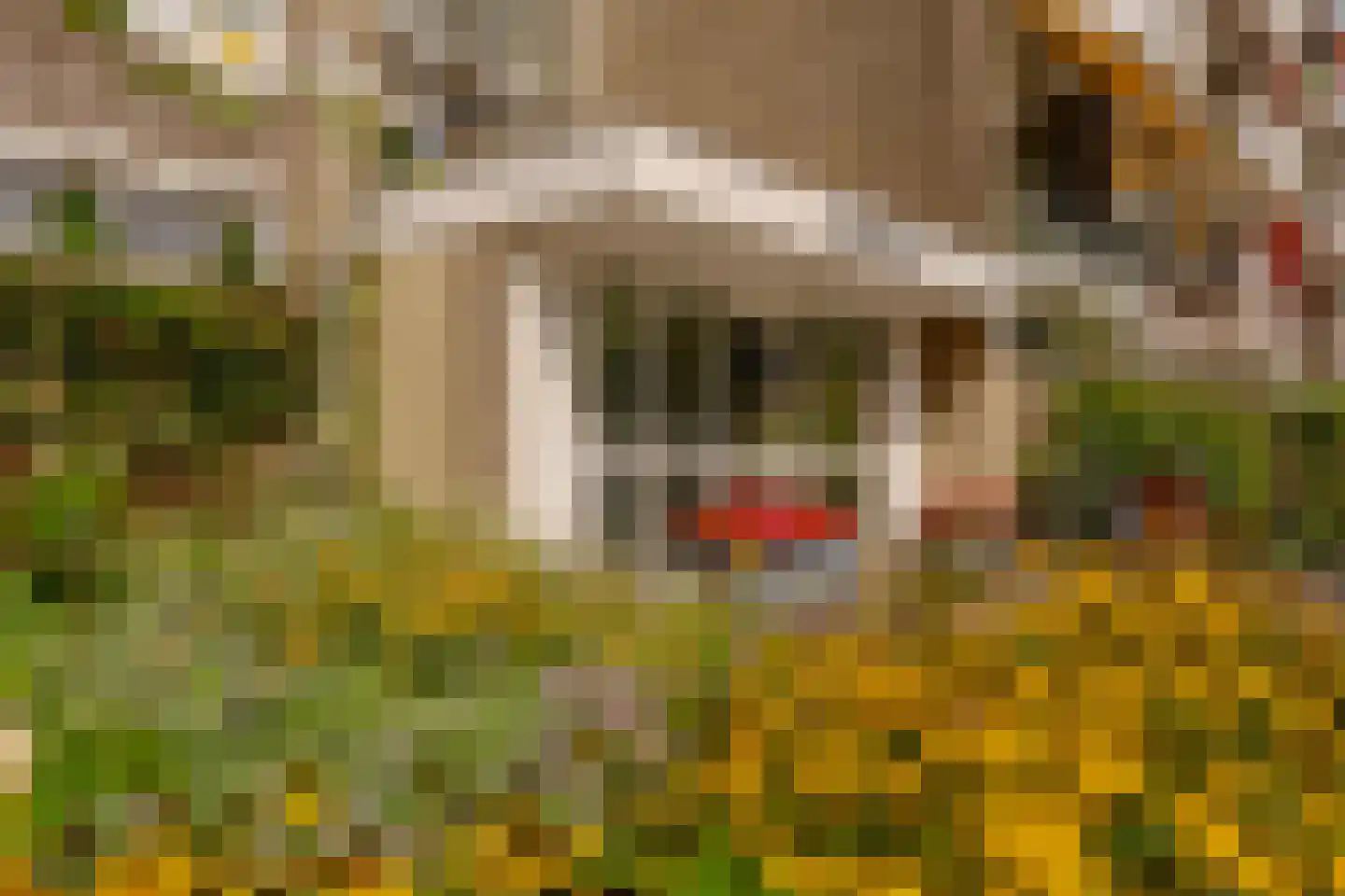 Starrenburglaan 151 Wassenaar thumbnail 6