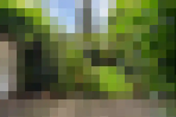 Starrenburglaan 16 Wassenaar thumbnail 14