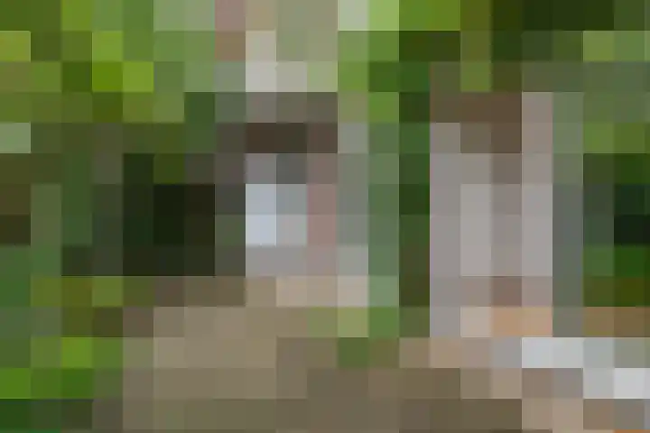 Starrenburglaan 16 Wassenaar thumbnail 15