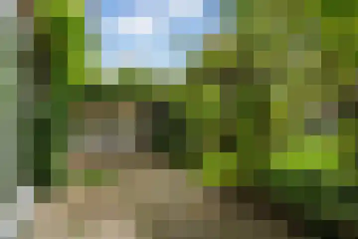 Starrenburglaan 16 Wassenaar thumbnail 16