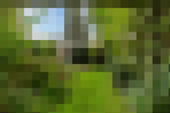 Starrenburglaan 16 Wassenaar thumbnail 17