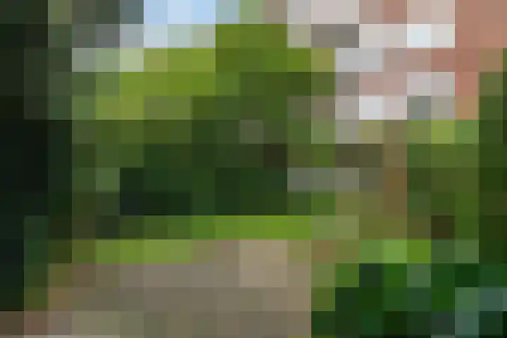 Starrenburglaan 16 Wassenaar thumbnail 18