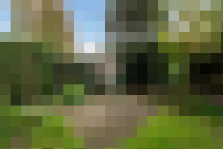 Starrenburglaan 16 Wassenaar thumbnail 19