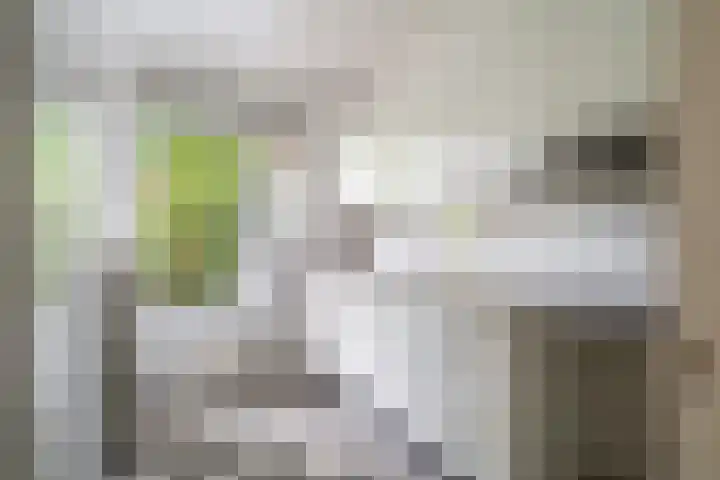 Starrenburglaan 16 Wassenaar thumbnail 20