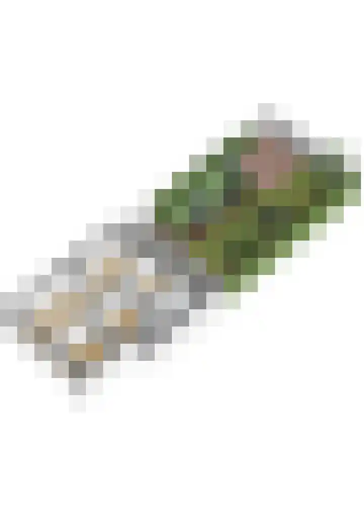 Starrenburglaan 16 Wassenaar thumbnail 43