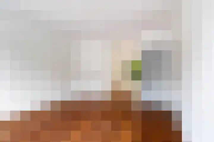 Starrenburglaan 16 Wassenaar thumbnail 6