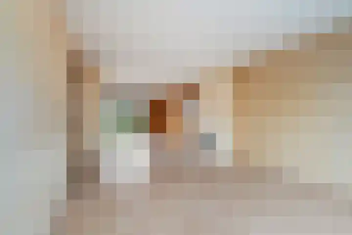 Starrenburglaan 2 Wassenaar thumbnail 13