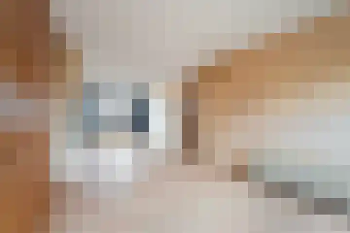Starrenburglaan 2 Wassenaar thumbnail 15