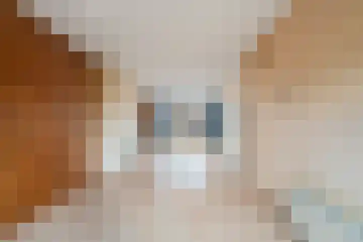 Starrenburglaan 2 Wassenaar thumbnail 16