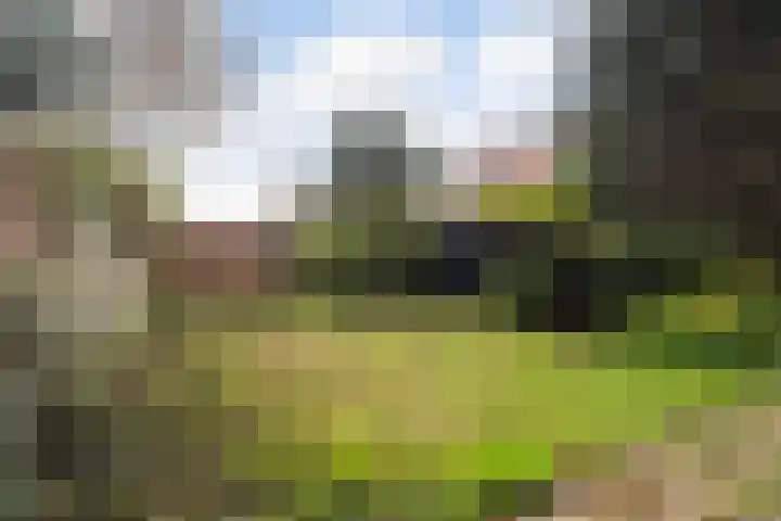 Starrenburglaan 2 Wassenaar thumbnail 20