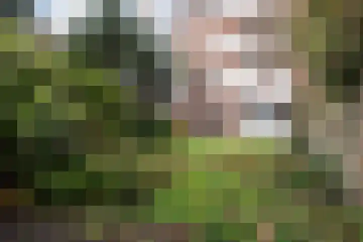 Starrenburglaan 2 Wassenaar thumbnail 21