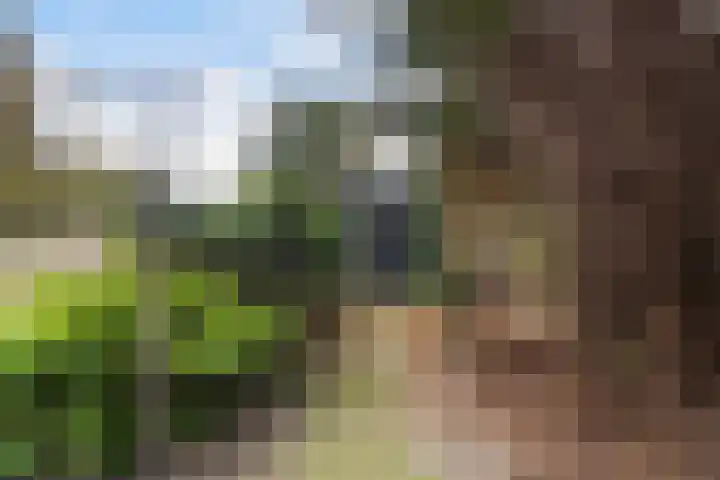 Starrenburglaan 2 Wassenaar thumbnail 23