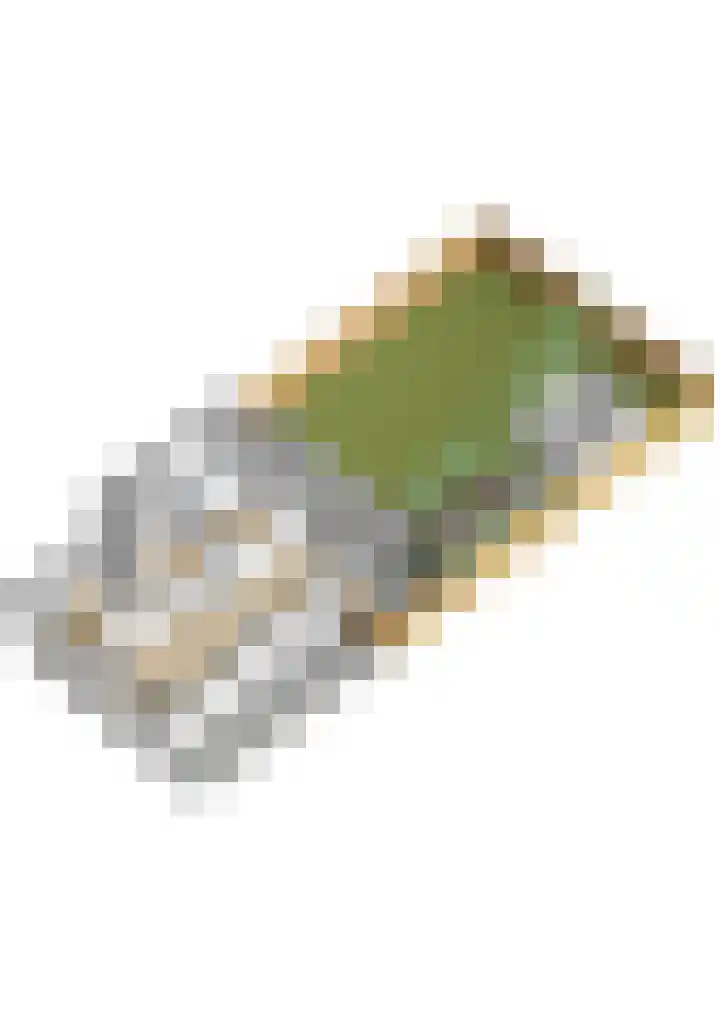 Starrenburglaan 2 Wassenaar thumbnail 7