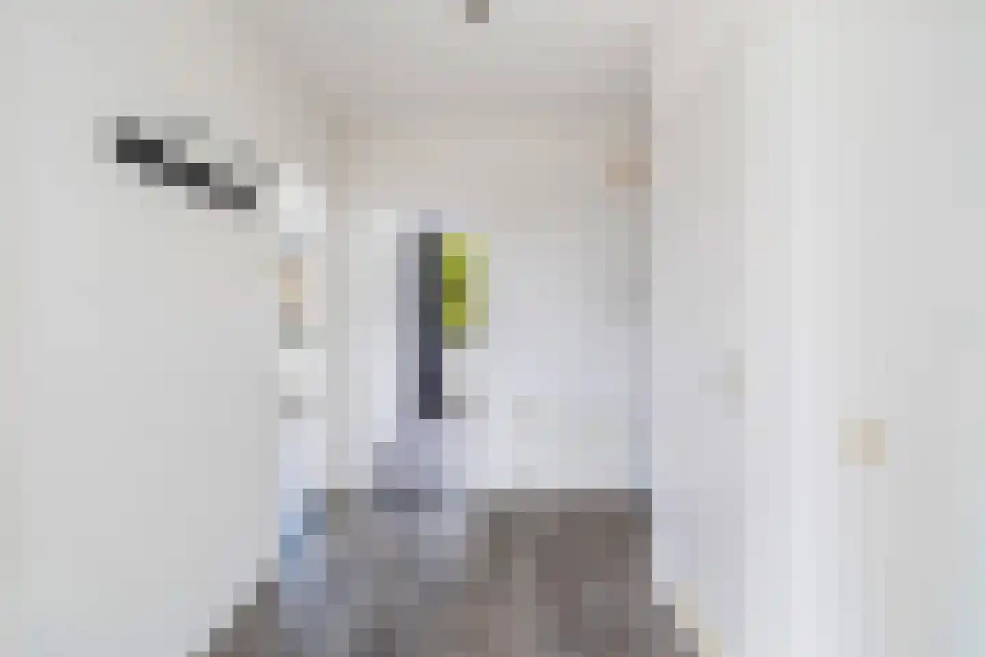 Starrenburglaan 4 Wassenaar thumbnail 18