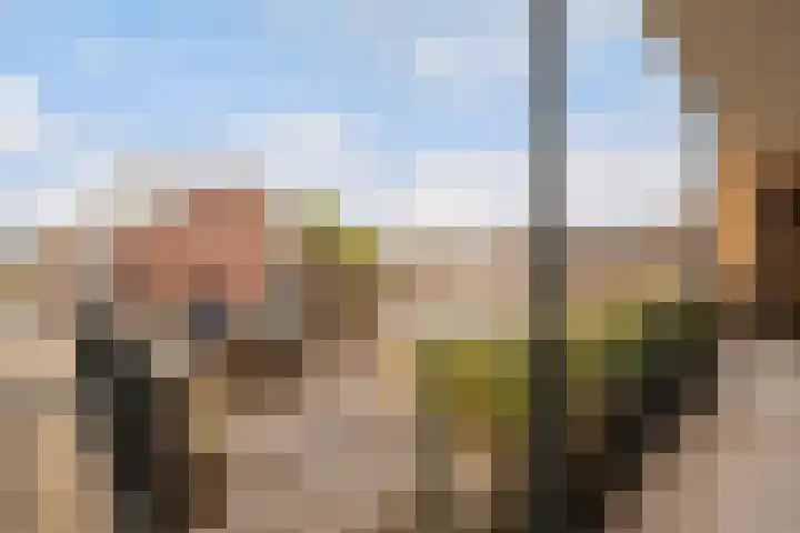 Starrenburglaan 55 Wassenaar thumbnail 29