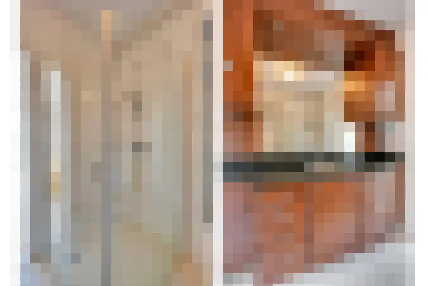 Starrenburglaan 7 Wassenaar thumbnail 20