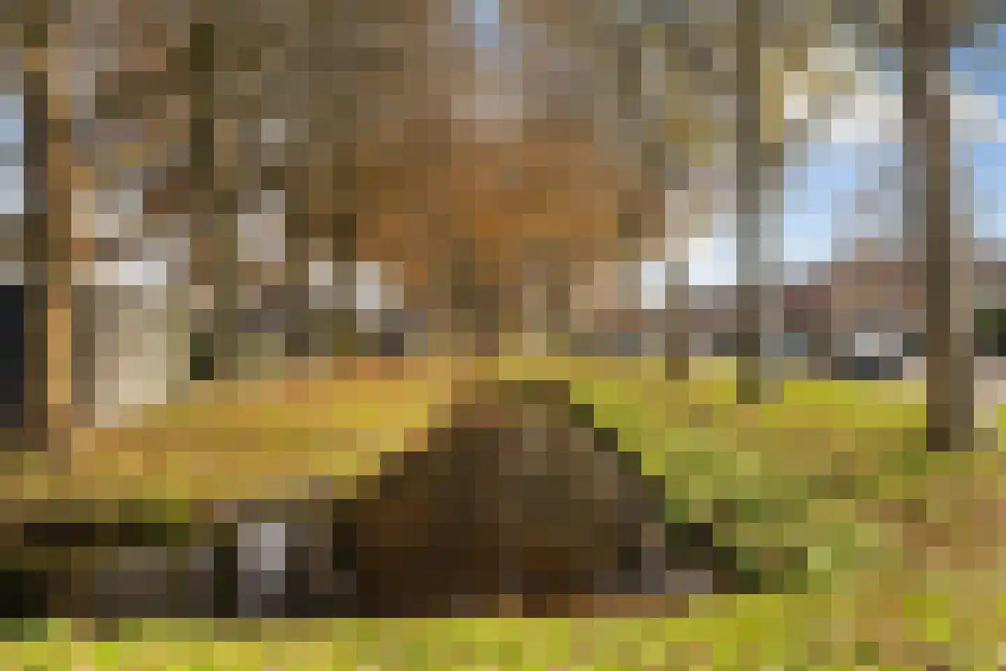 Starrenburglaan 72 Wassenaar thumbnail 31