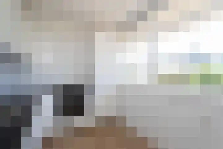 Starrenburglaan 73 Wassenaar thumbnail 12