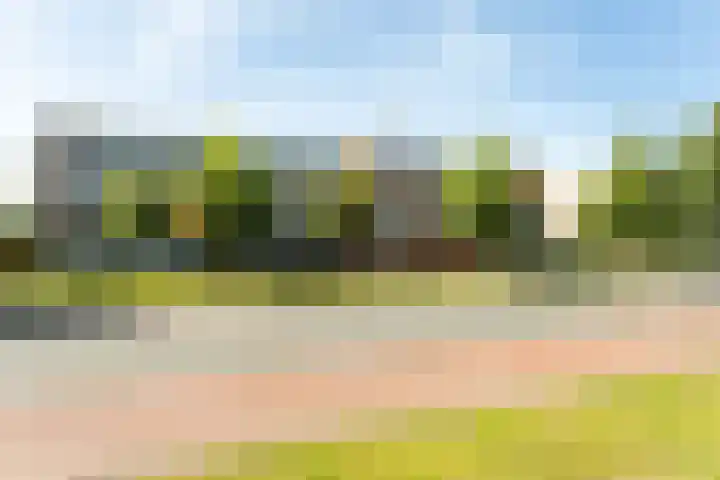 Starrenburglaan 73 Wassenaar thumbnail 23