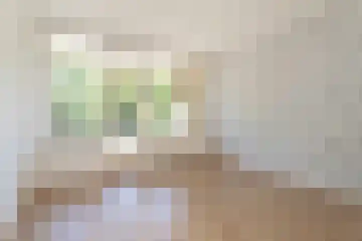Starrenburglaan 73 Wassenaar thumbnail 9