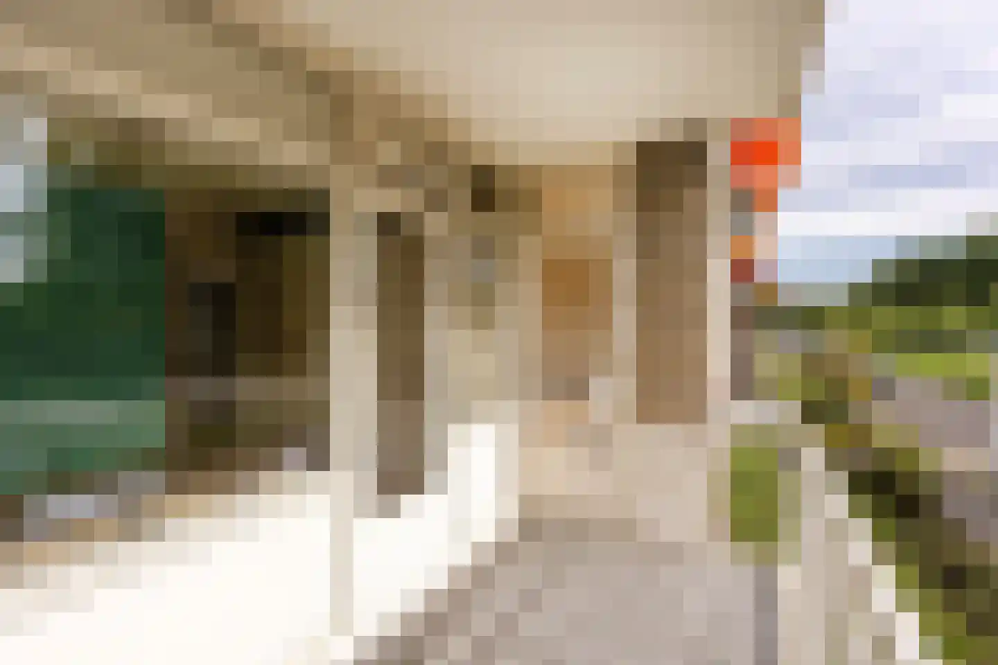 Starrenburglaan 75 Wassenaar thumbnail 32