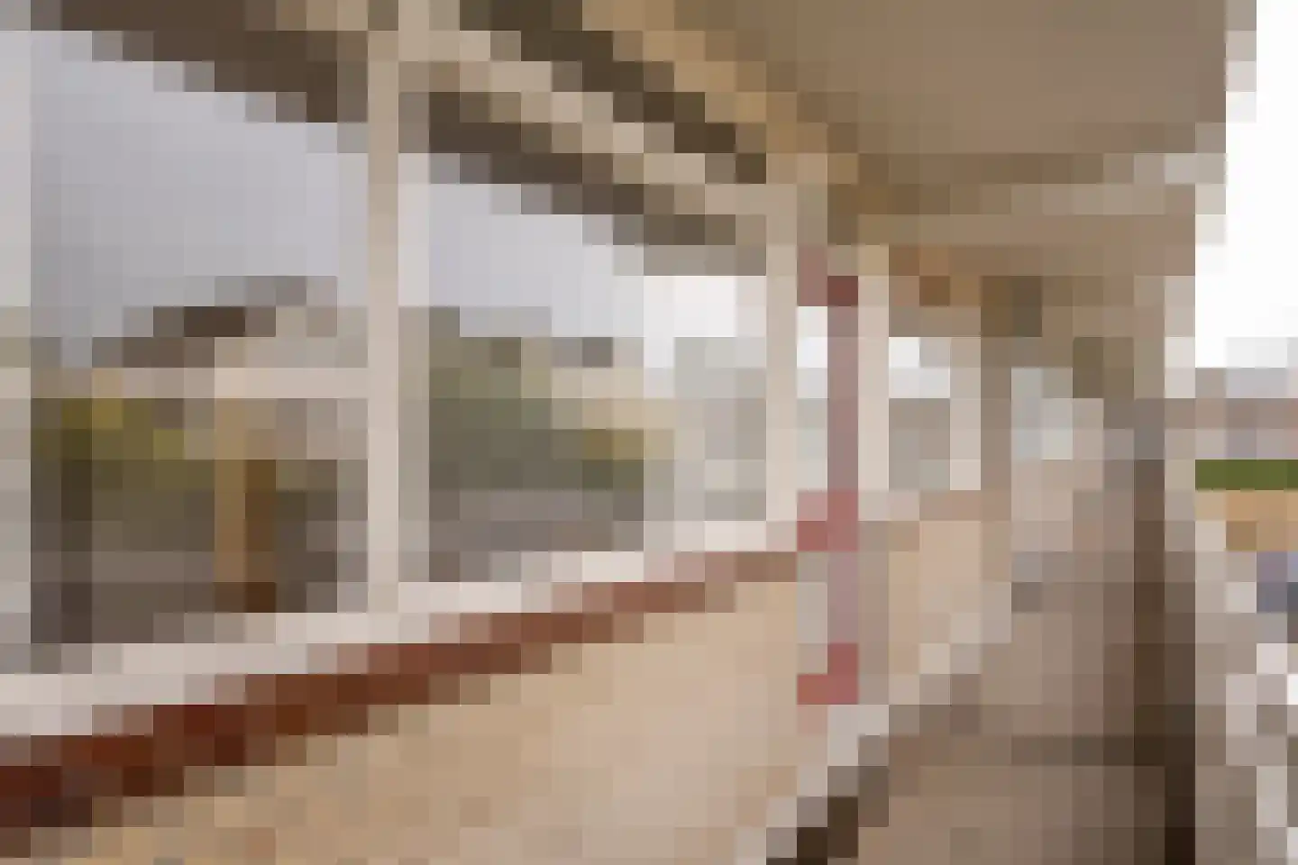 Starrenburglaan 75 Wassenaar thumbnail 8