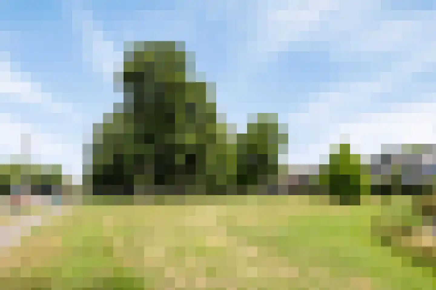 Starrenburglaan 97 Wassenaar thumbnail 32