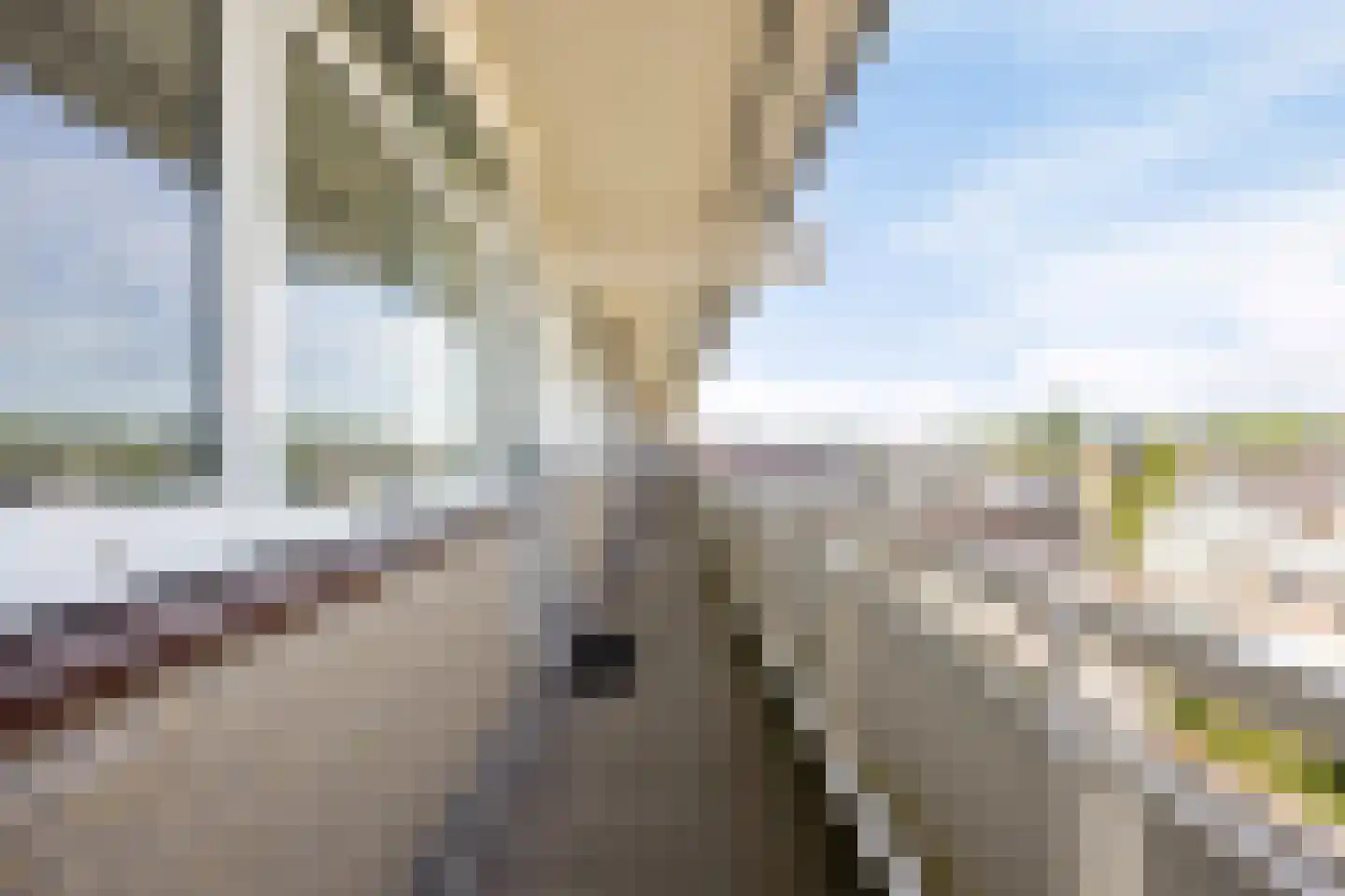 Starrenburglaan 97 Wassenaar thumbnail 9