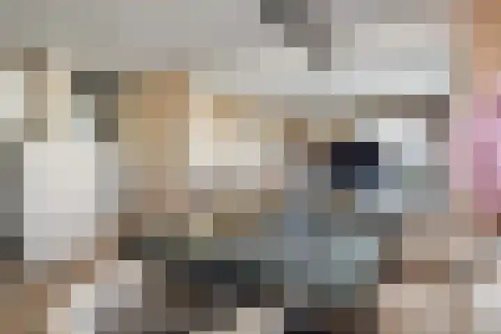 Starstraat 154 Rotterdam thumbnail 11