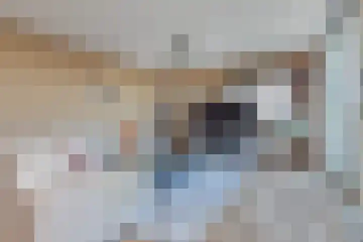Starstraat 154 Rotterdam thumbnail 18