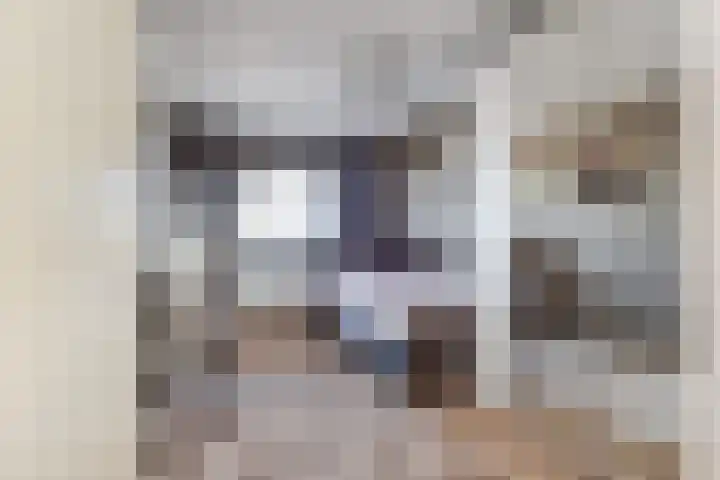 Starstraat 154 Rotterdam thumbnail 32