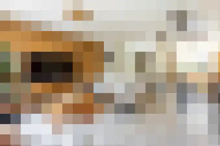 Starstraat 26 Rotterdam thumbnail 10