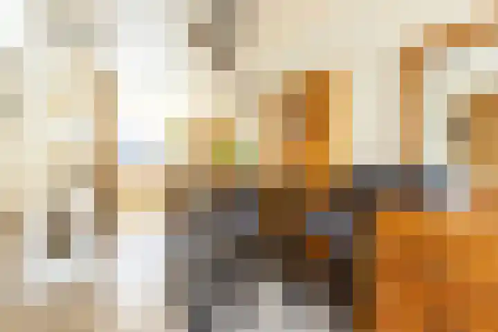 Starstraat 26 Rotterdam thumbnail 13